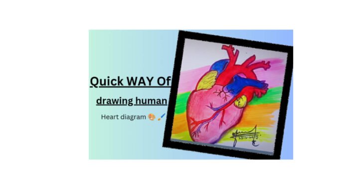 Easy Sketch of Human Heart