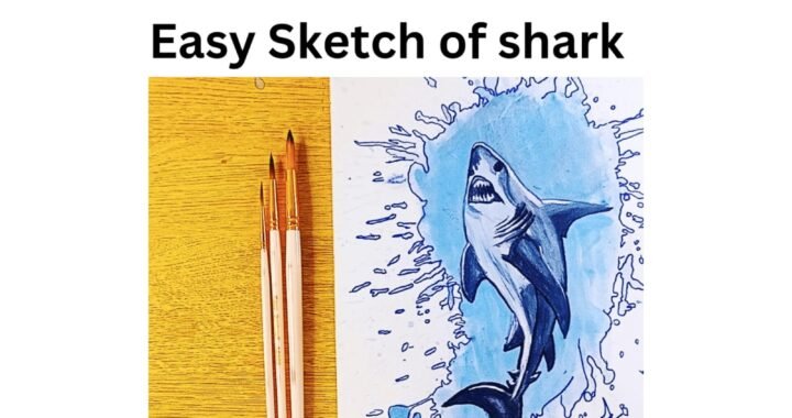 Easy Shark Drawing