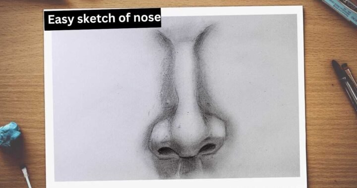 How to Draw Easy Sketch of Nose