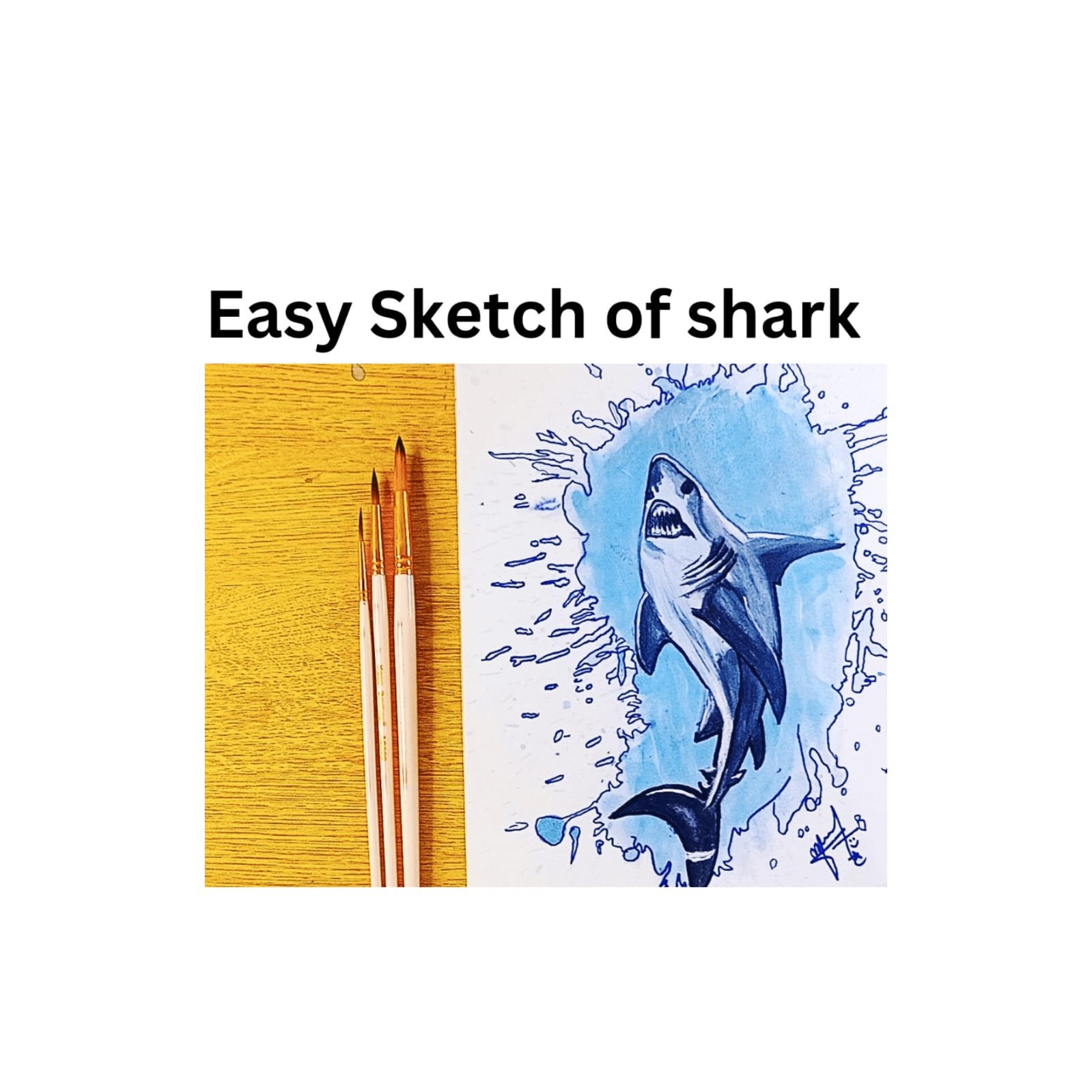 Easy shark drawing