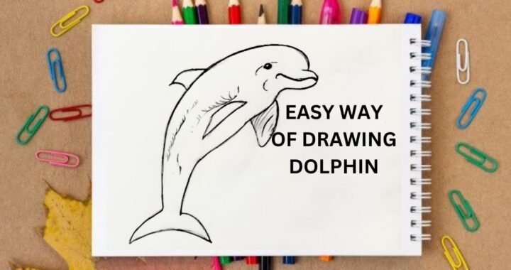 How to Draw a Dolphin: A Step-by-Step Tutorial